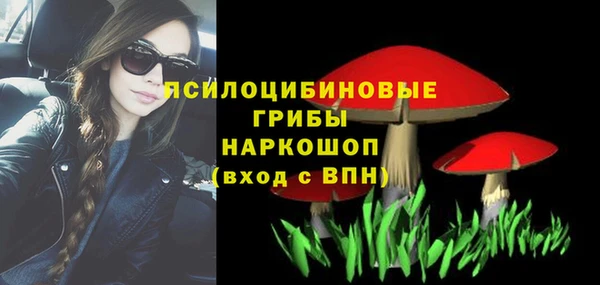 первитин Ладушкин
