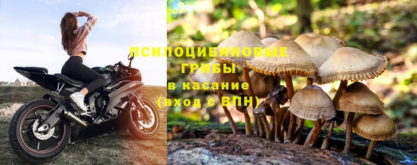 первитин Ладушкин